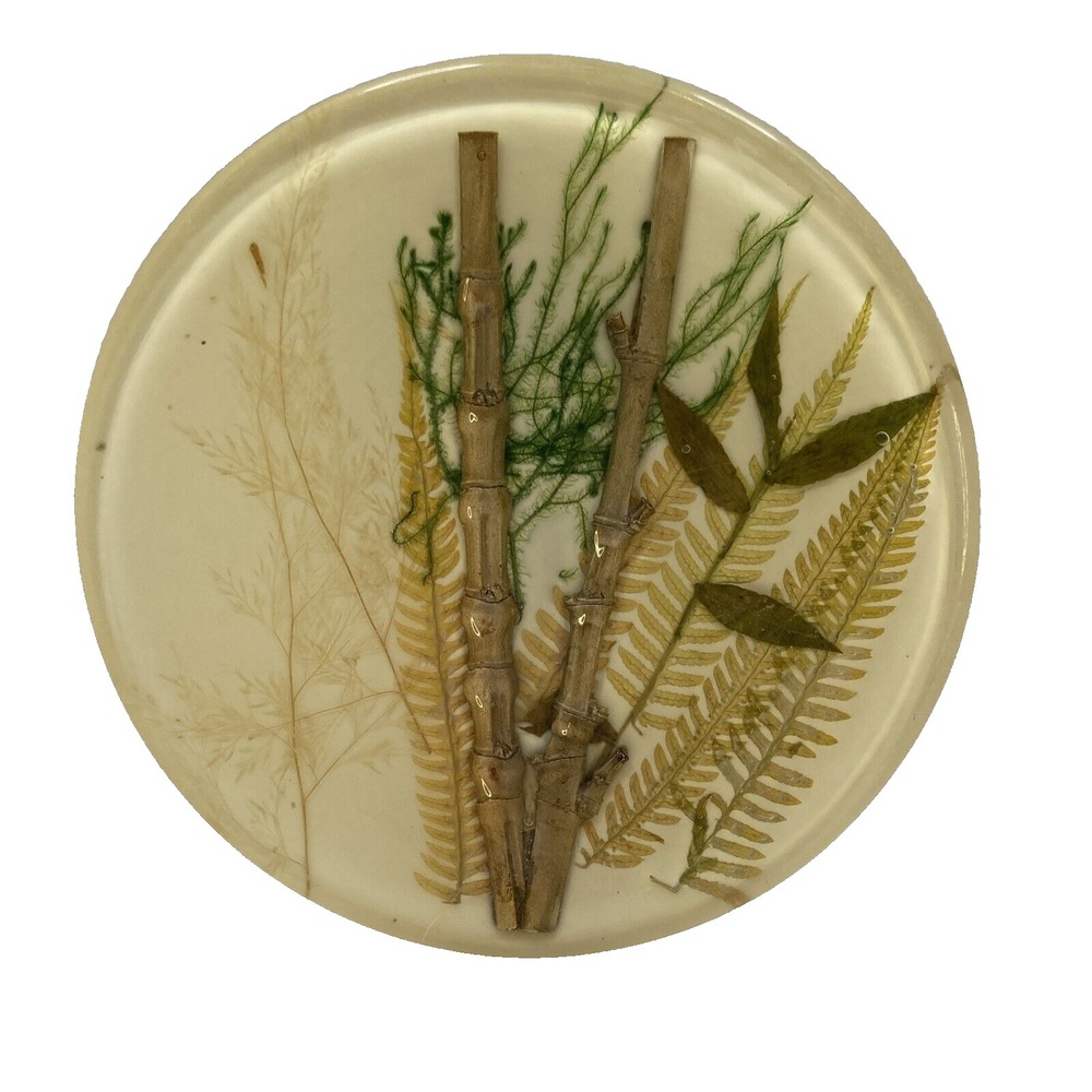 VTG Acrylic Lucite Resin Trivet Bambooโ And Wheat Creamy White 8"